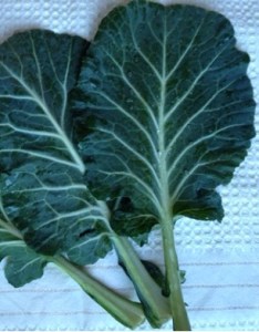 Collard300x400