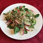 Watercress Radish Salad